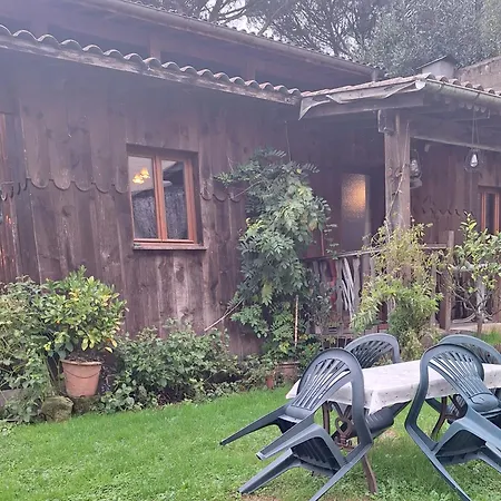 Ferienwohnung Le Saloon Aire-sur-lʼAdour Exterior foto